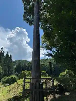 諏訪大社上社前宮(長野県)