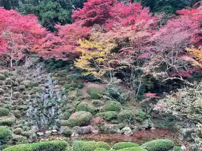 金剛輪寺(滋賀県)