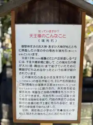素盞雄神社(東京都)