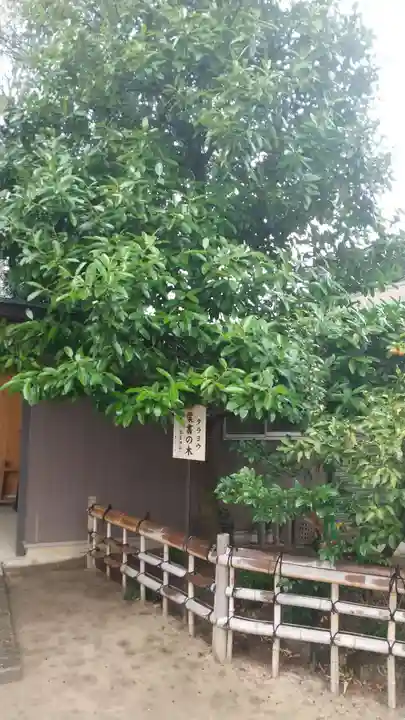 川越八幡宮のその他建物