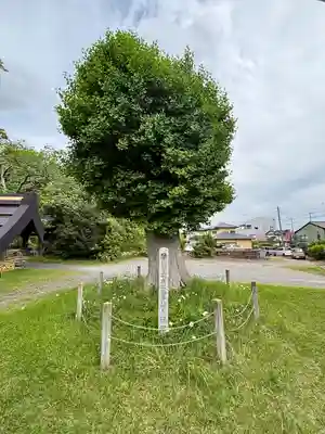 大念寺(茨城県)