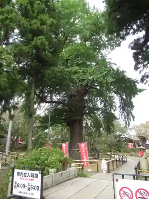 六地蔵寺(茨城県)