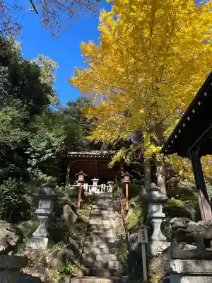 日枝神社水天宮(東京都)