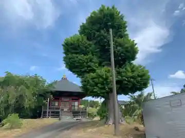 円徳寺(千葉県)