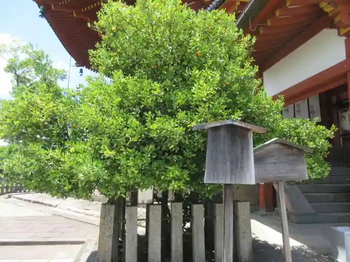 興福寺 南円堂のその他建物