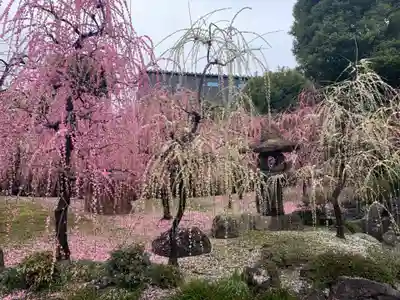 城南宮(京都府)