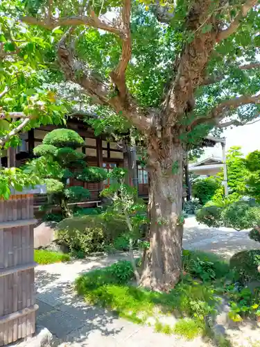 西教寺(奈良県)