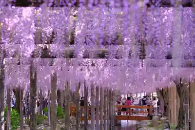 津島神社(愛知県)