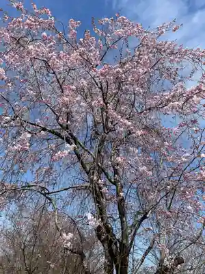 善峯寺(京都府)