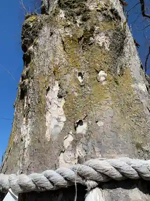 守谷総鎮守 八坂神社(茨城県)