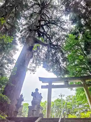 草部吉見神社(熊本県)