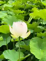 伊賀八幡宮(愛知県)