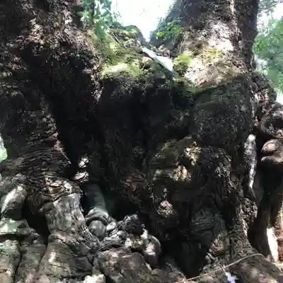 來宮神社のその他建物