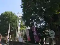 磐井神社(東京都)