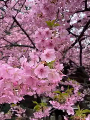 新宿下落合氷川神社(東京都)