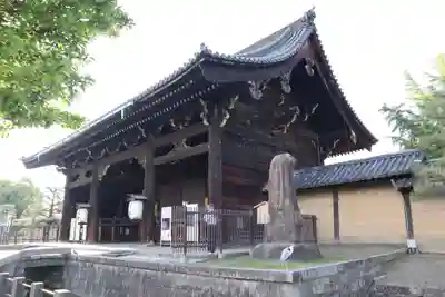 東寺（教王護国寺）(京都府)