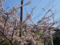 五所神社(神奈川県)