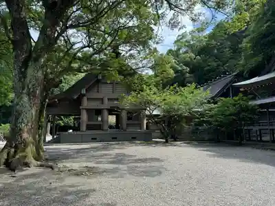 安房神社(千葉県)