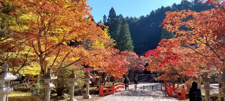 高野山金剛峯寺奥の院(和歌山県)