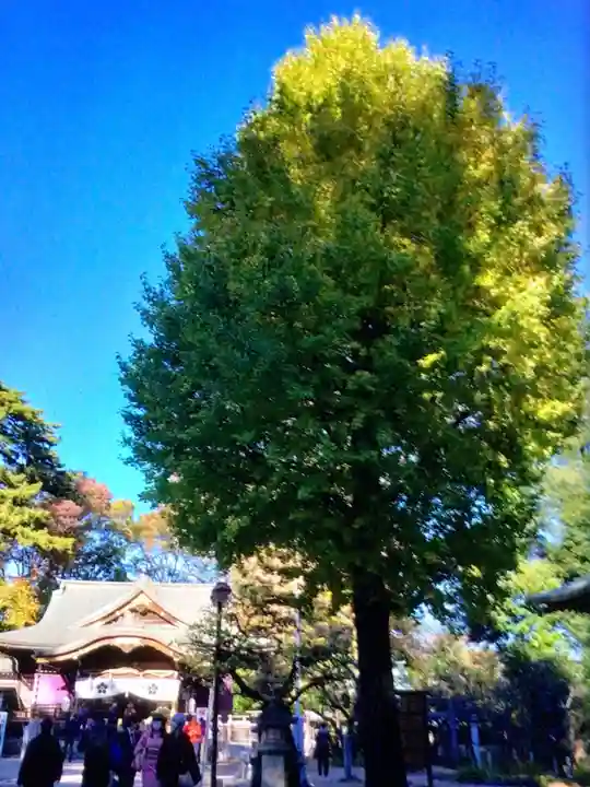 布多天神社(東京都)