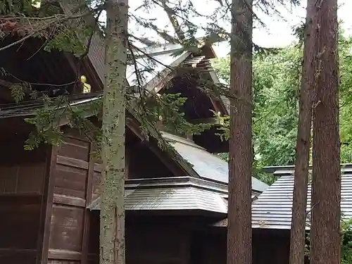 上川神社の本殿