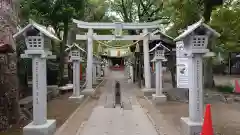 芳川神社の鳥居