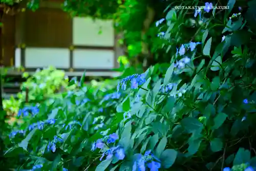 高幡不動尊　金剛寺(東京都)