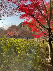 本土寺(千葉県)