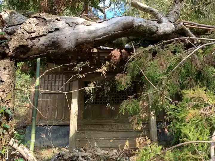 市井神社の本殿・本堂