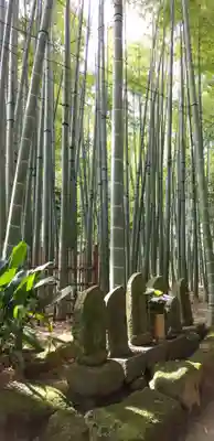 報国寺のその他建物