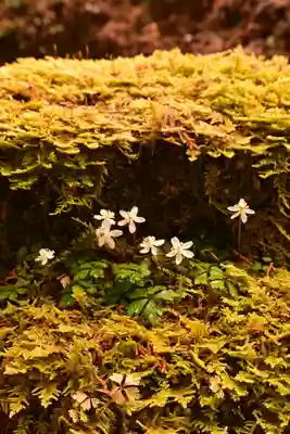 金峰神社(高知県)