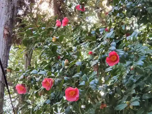 備後天満神社の自然