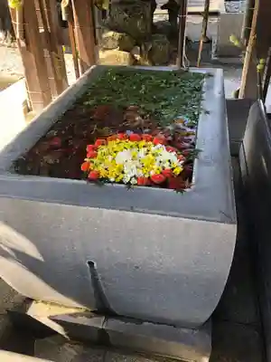 宮地嶽神社の手水舎