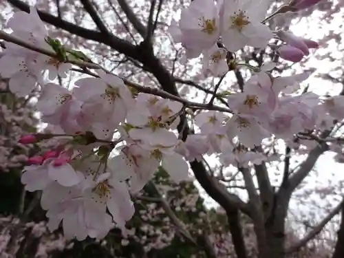 阿邪訶根神社の自然