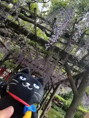 亀戸天神社(東京都)