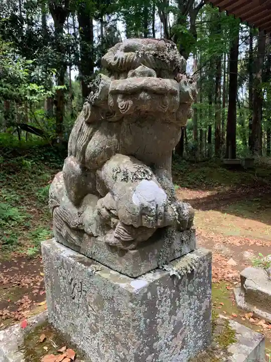 喜多神社の狛犬