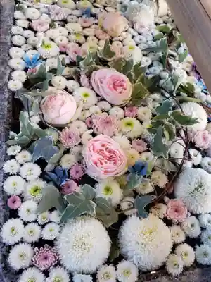 高円寺氷川神社の手水舎