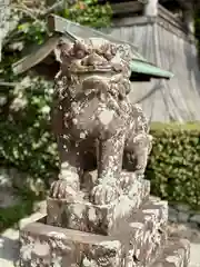 高鴨神社の狛犬