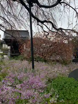 成就院の自然