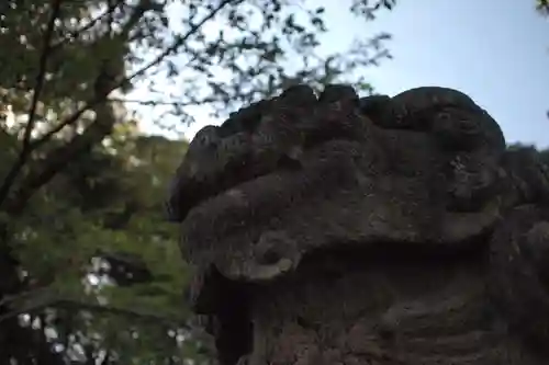 蒲生神社の狛犬