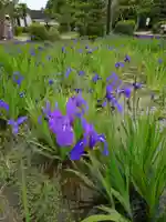 無量寿寺の自然