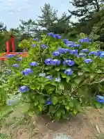髙山龍神宮(高山稲荷境内社)(青森県)