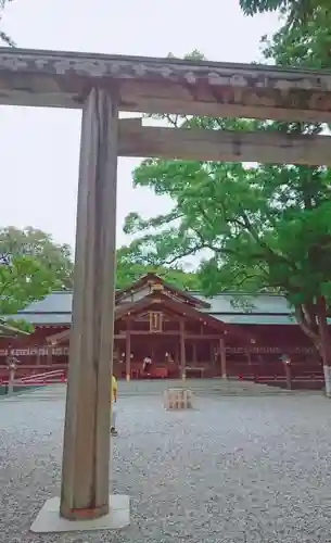 猿田彦神社の鳥居