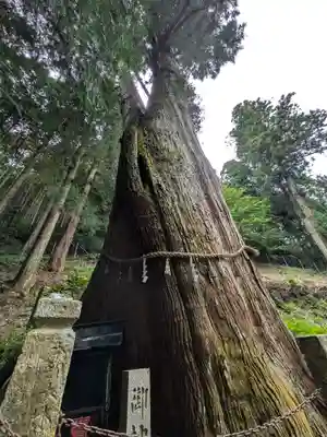 青玉神社(兵庫県)