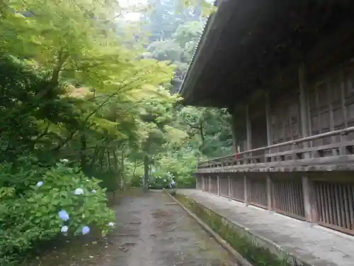 妙本寺の庭園