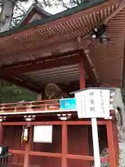 日光二荒山神社の神楽