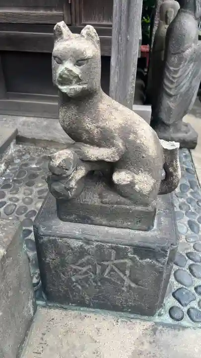 榎稲荷神社の狛犬