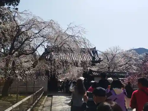 醍醐寺(京都府)
