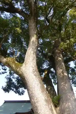 永岡八幡宮(福岡県)