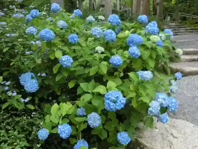 三千院門跡(京都府)